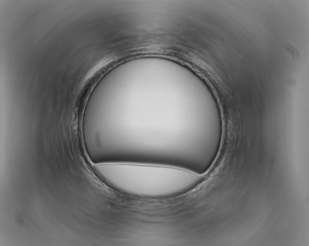X0000111371450200907101007