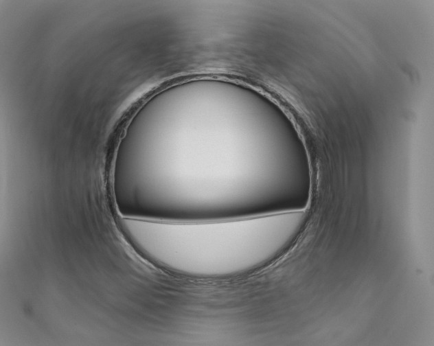 X0000111371452200907101007