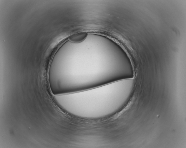 X0000111371453200907101007