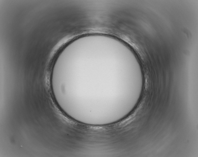 X0000111371454200907101007
