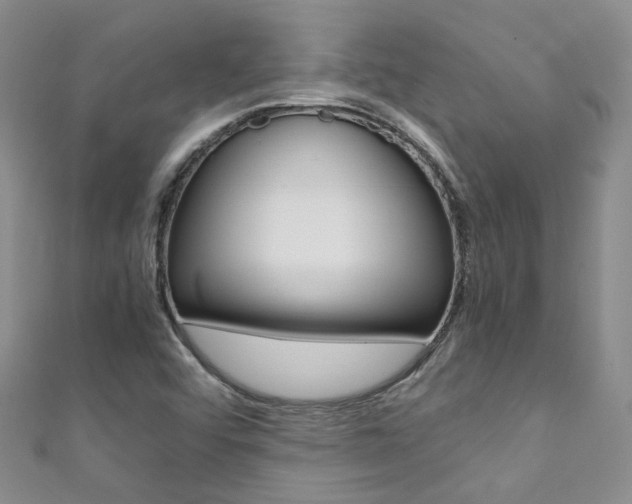 X0000111371456200907101007