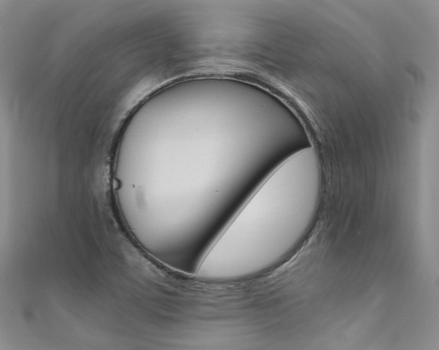 X0000111371459200907101007