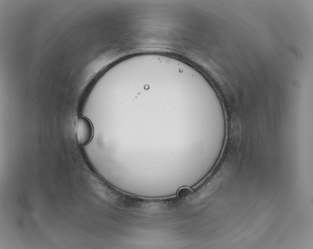 X0000111371461200907101007