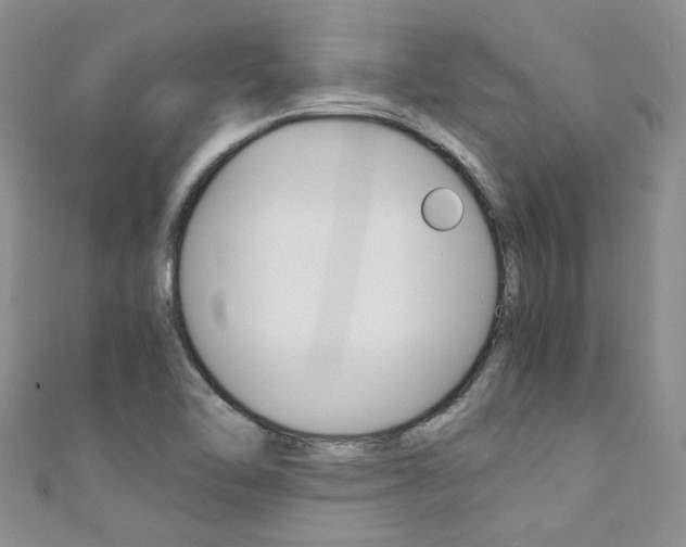 X0000111371462200907101007