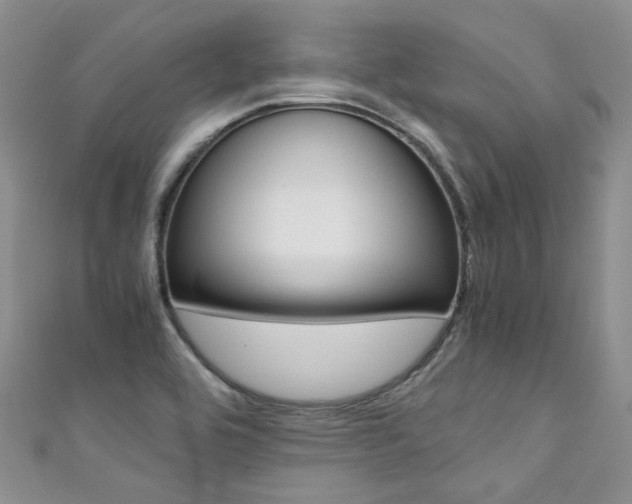 X0000111371464200907101007
