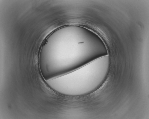 X0000111371465200907101007