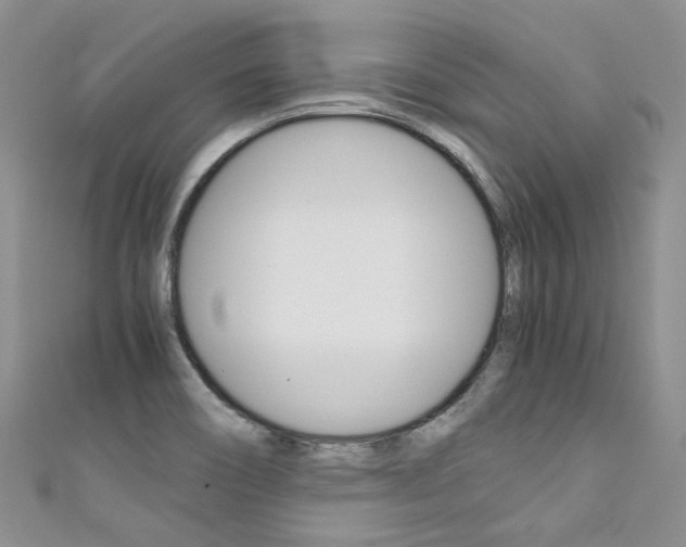 X0000111371466200907101007