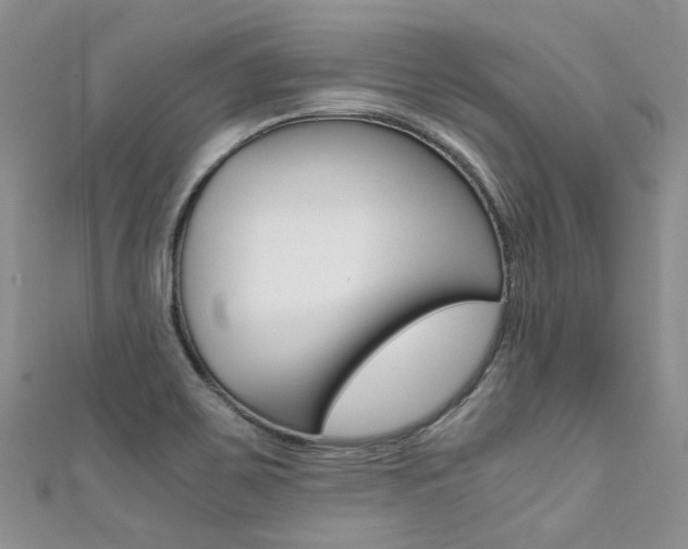 X0000111371467200907101007
