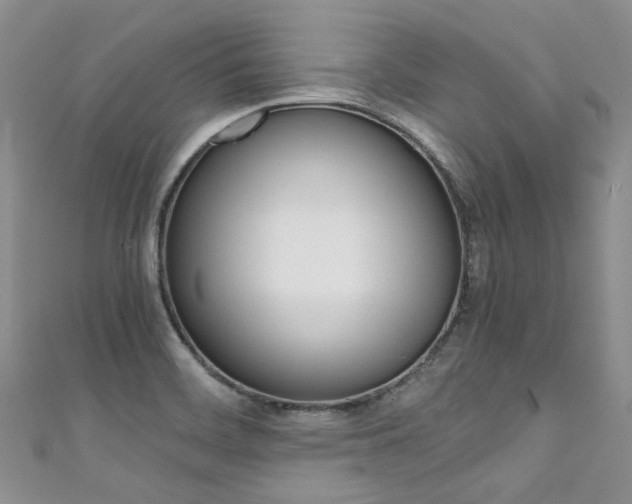 X0000111371468200907101007
