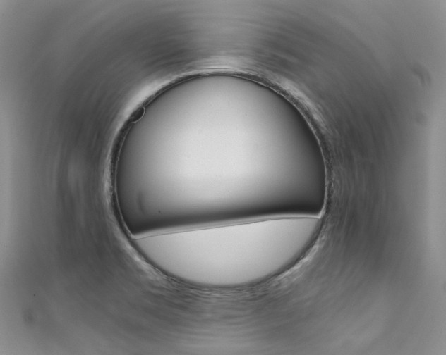 X0000111371469200907101007
