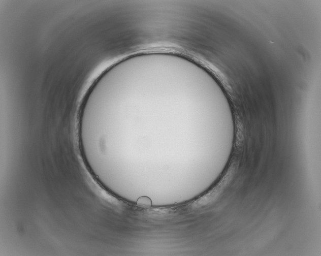 X0000111371470200907101007