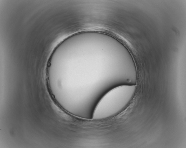 X0000111371471200907101007