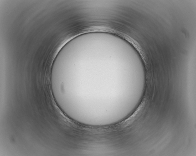 X0000111371473200907101007
