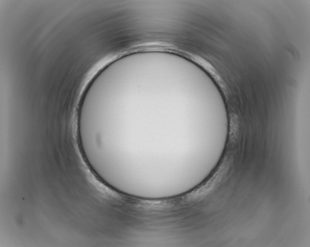 X0000111371474200907101007