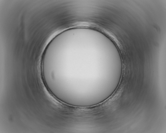 X0000111371475200907101007