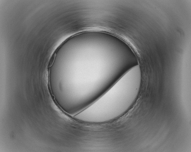 X0000111371476200907101007