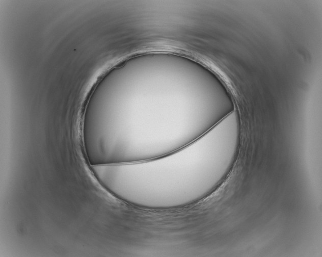 X0000111371477200907101007
