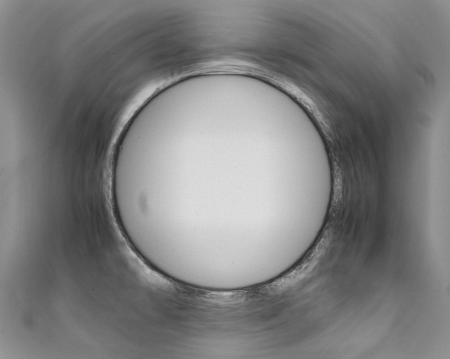 X0000111371478200907101007