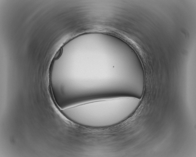 X0000111371479200907101007