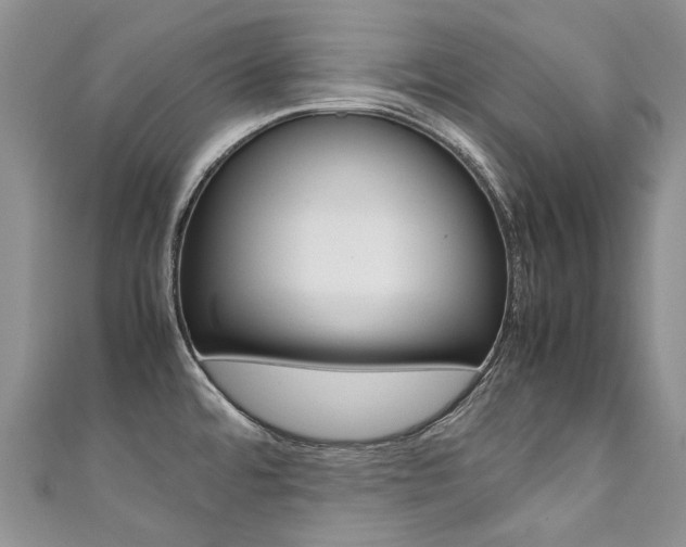 X0000111371480200907101007