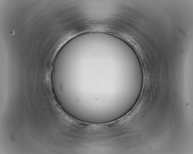 X0000111371481200907101007