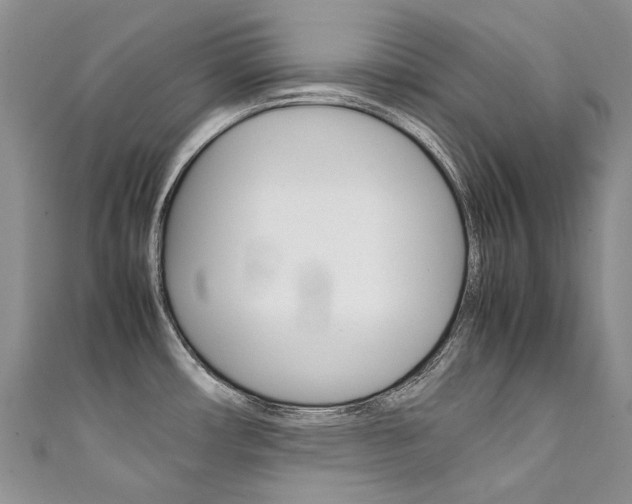 X0000111371482200907101007
