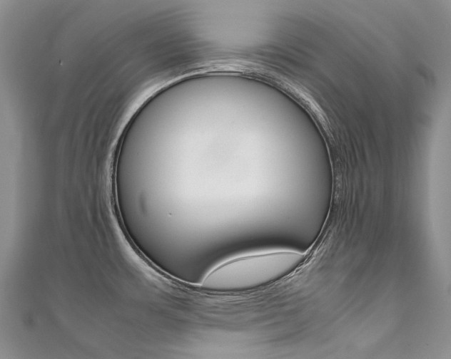 X0000111371483200907101007