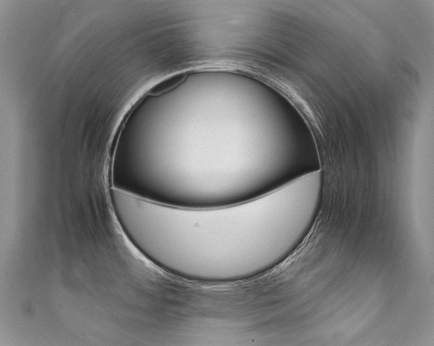 X0000111371484200907101007