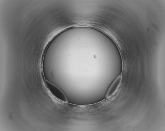 X0000111371485200907101007