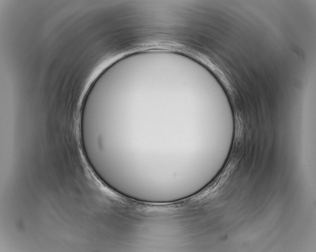 X0000111371486200907101007
