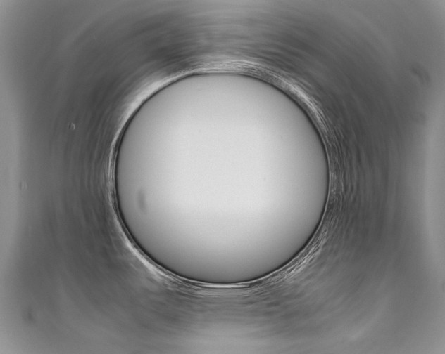 X0000111371487200907101007