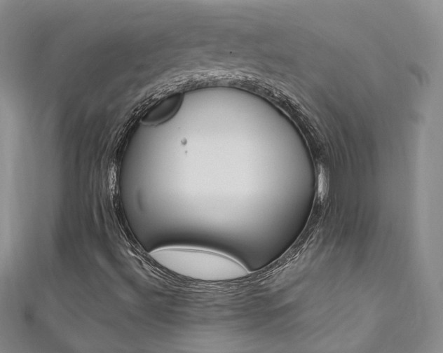 X0000111371492200907101006