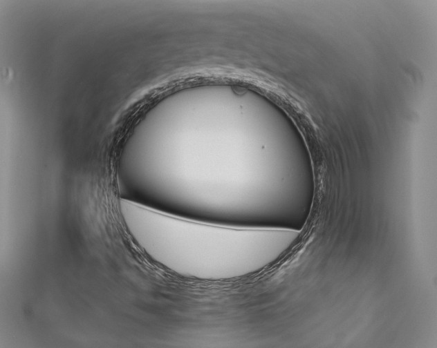 X0000111371494200907101006