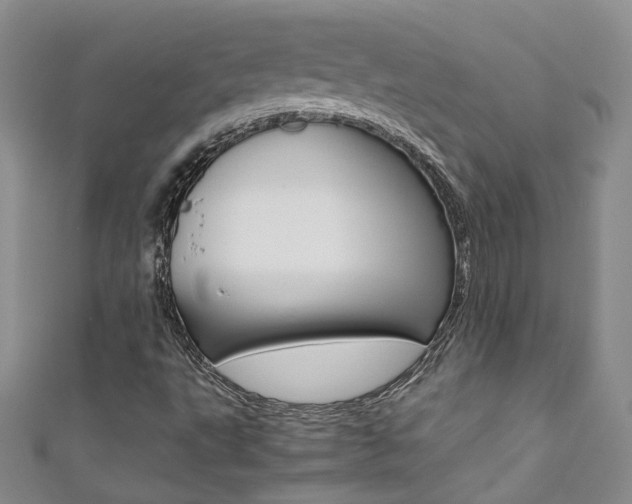 X0000111371495200907101006