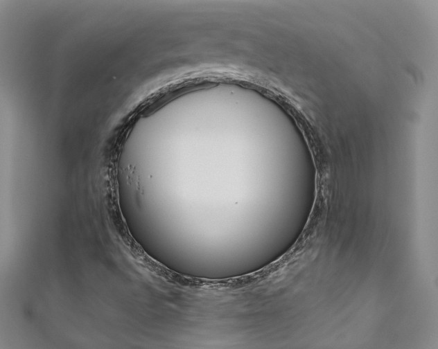 X0000111371496200907101006