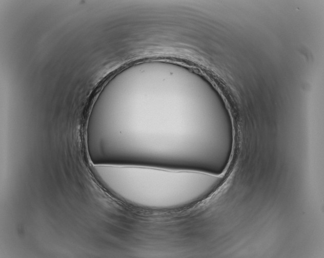 X0000111371497200907101006