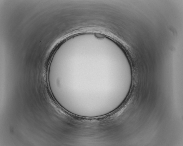 X0000111371498200907101006