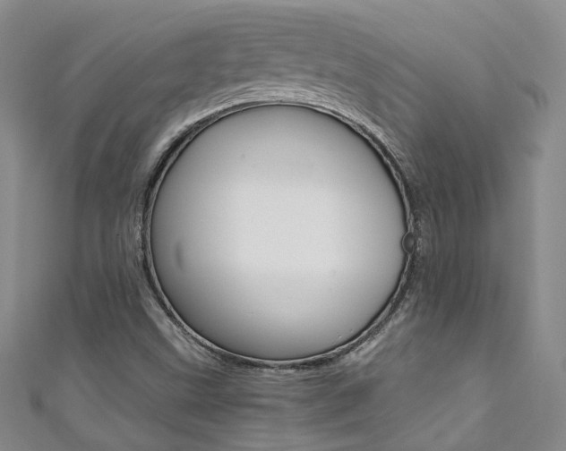 X0000111371499200907101006