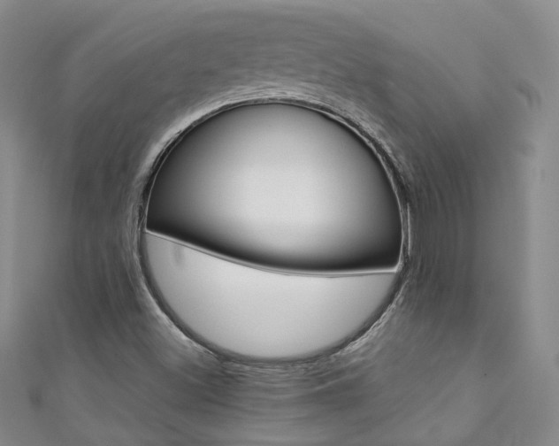 X0000111371500200907101006