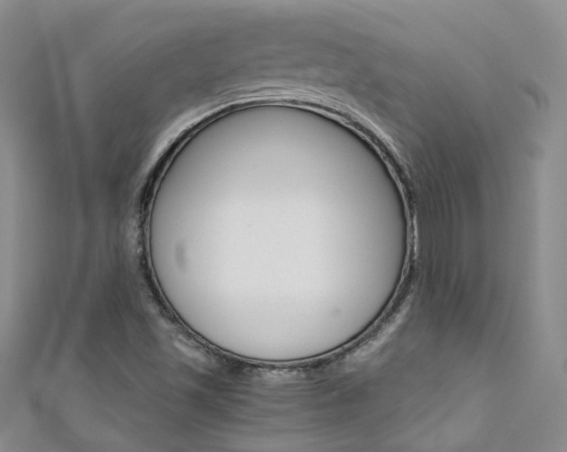 X0000111371501200907101006