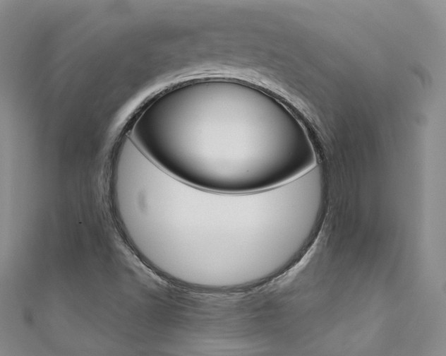X0000111371502200907101006