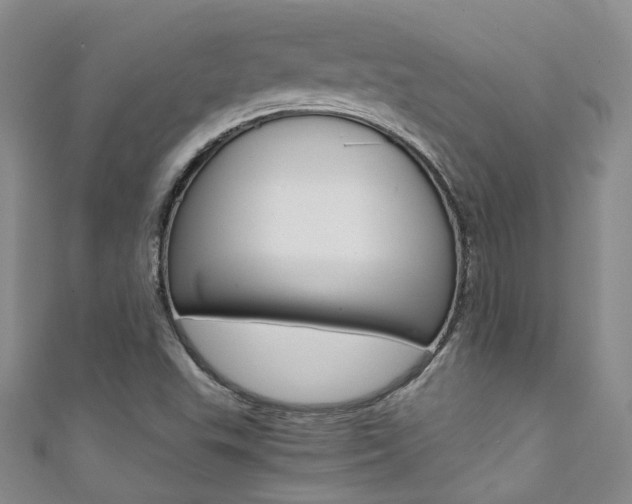 X0000111371503200907101006