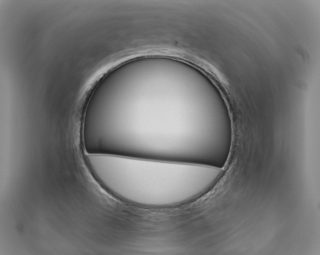 X0000111371504200907101006