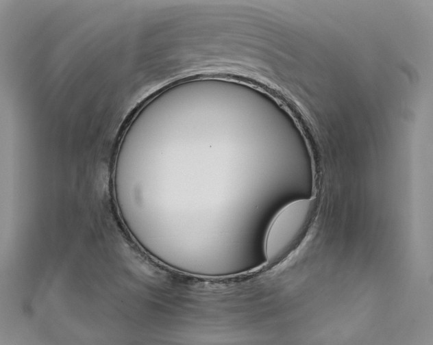 X0000111371505200907101006