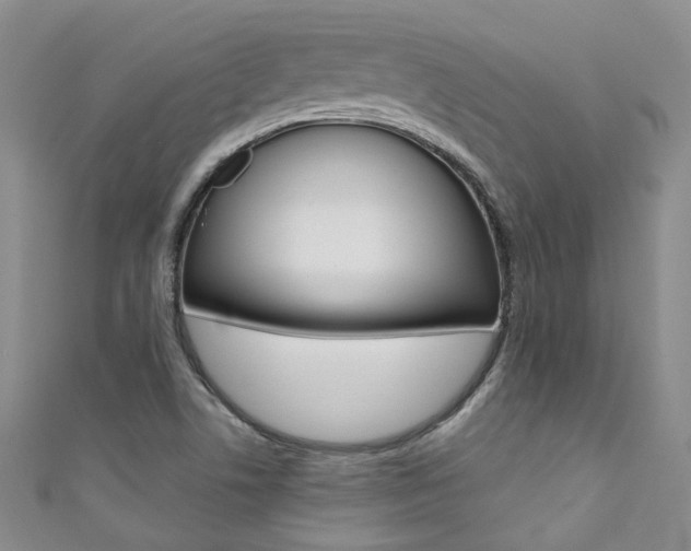 X0000111371506200907101006