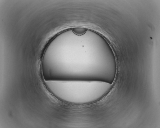 X0000111371507200907101006
