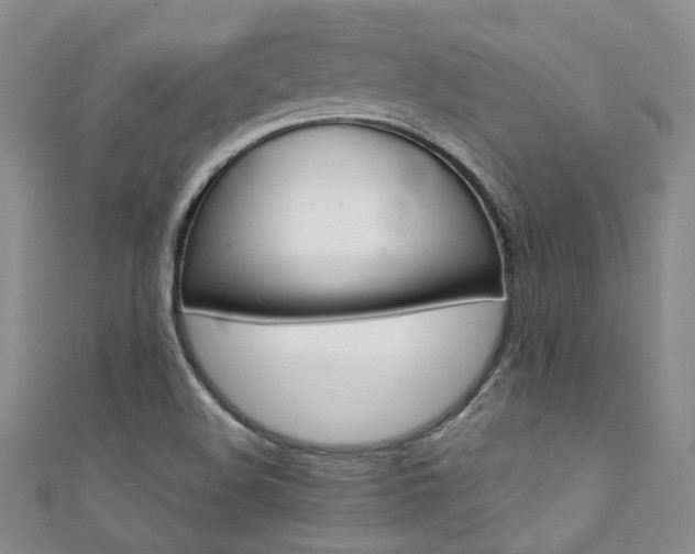X0000111371508200907101006