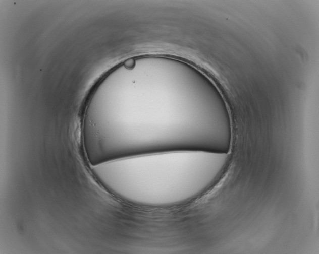 X0000111371509200907101006