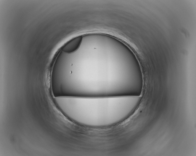 X0000111371510200907101006