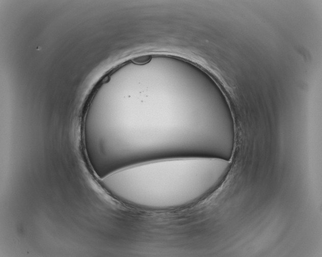 X0000111371511200907101006
